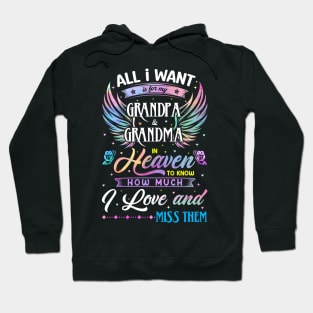 I Love and Miss Them Memorial Grandpa and Grandma Hoodie